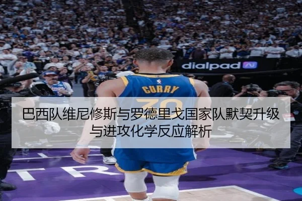 巴西队维尼修斯与罗德里戈国家队默契升级与进攻化学反应解析